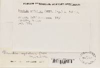 Image Associated With the Occurrence