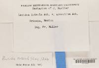 Image Associated With the Occurrence