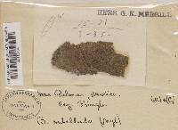 Image Associated With the Occurrence