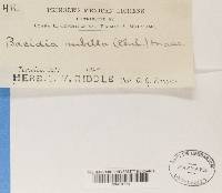 Image Associated With the Occurrence