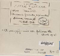 Image Associated With the Occurrence