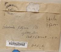 Image Associated With the Occurrence