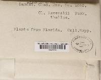 Thumbnail image of current specimen