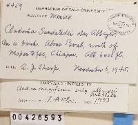 Image Associated With the Occurrence