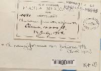 Image Associated With the Occurrence