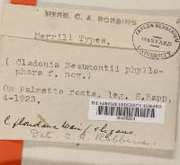 Thumbnail image of current specimen