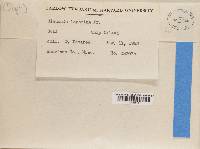 Thumbnail image of current specimen