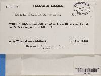 Image Associated With the Occurrence