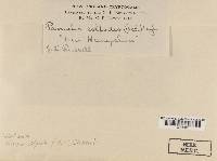 Image Associated With the Occurrence