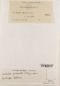 Image Associated With the Occurrence