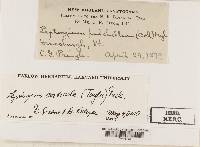 Image Associated With the Occurrence