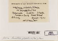 Image Associated With the Occurrence