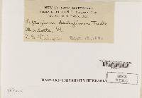 Image Associated With the Occurrence