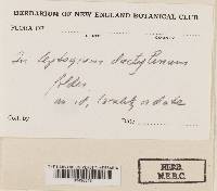 Image Associated With the Occurrence