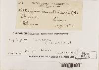 Image Associated With the Occurrence