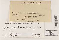 Image Associated With the Occurrence