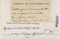 Image Associated With the Occurrence