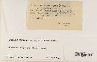 Image Associated With the Occurrence