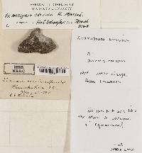 Image Associated With the Occurrence