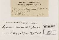 Image Associated With the Occurrence