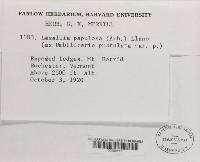 Image Associated With the Occurrence