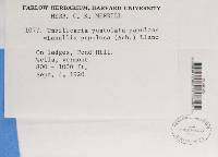 Image Associated With the Occurrence