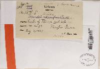 Image Associated With the Occurrence