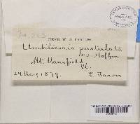 Image Associated With the Occurrence