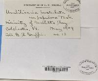 Image Associated With the Occurrence