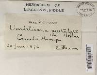 Image Associated With the Occurrence