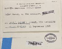 Image Associated With the Occurrence