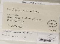 Image Associated With the Occurrence