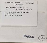 Image Associated With the Occurrence