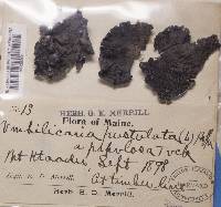 Image Associated With the Occurrence