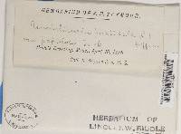 Image Associated With the Occurrence