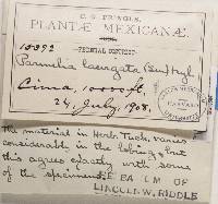 Image Associated With the Occurrence