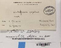 Image Associated With the Occurrence