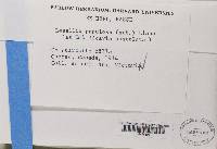 Image Associated With the Occurrence