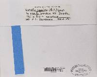 Image Associated With the Occurrence