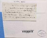 Image Associated With the Occurrence