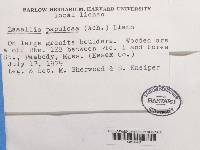 Image Associated With the Occurrence