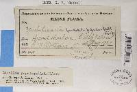 Image Associated With the Occurrence