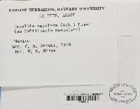 Image Associated With the Occurrence