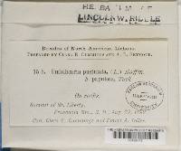 Image Associated With the Occurrence