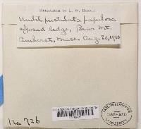 Image Associated With the Occurrence