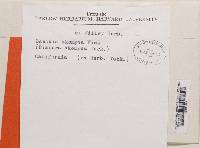 Image Associated With the Occurrence