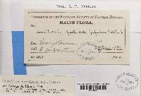 Image Associated With the Occurrence