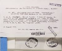 Image Associated With the Occurrence