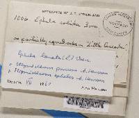 Image Associated With the Occurrence