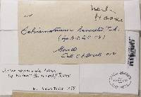 Image Associated With the Occurrence